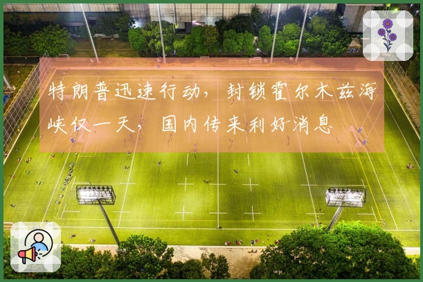 特朗普迅速行动，封锁霍尔木兹海峡仅一天，国内传来利好消息